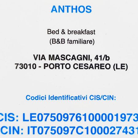 Bed Anthos Porto Cesareo Acomodação com café da manhã Exterior foto